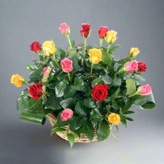 Kosz Strzał w dziesiątkę