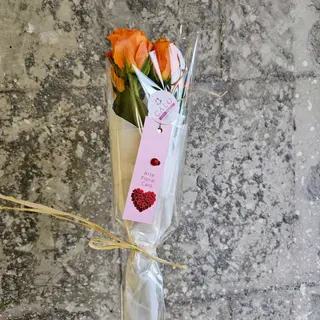  Alegría en Detalle