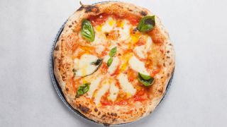 Margherita pizza