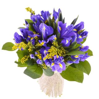 Buchet Iris si Solidago