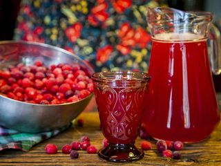 Морс ягідний (1000г)