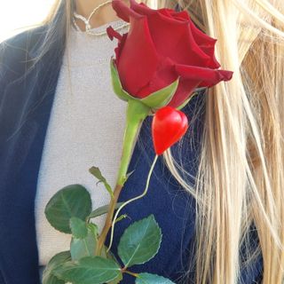 Róża z walentynką