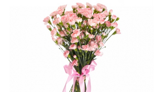 Goździki gałązkowe 15 sztuk – różowe