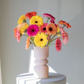 Bouquet di Gerbere Colorate