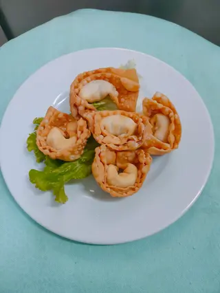 103 Wonton fritti  - 5 pezzi 
