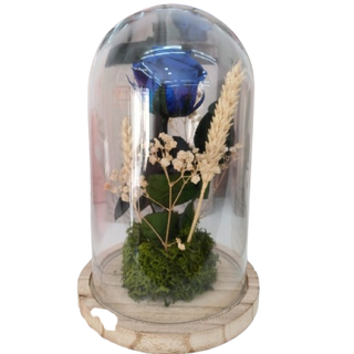 CÚPULA ROSA AZUL PRESERVADA