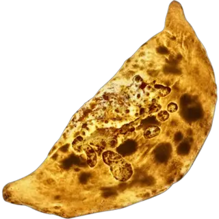  Calzone   Senior
