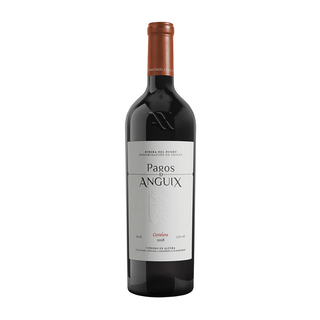 Magnum Pago de Anguix 