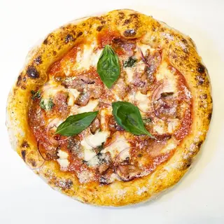 AMATRICIANA
