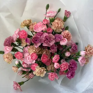 Bukiet pastelowych goździków duży 