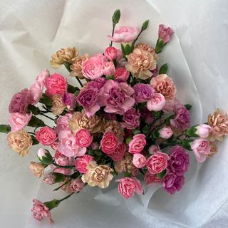 Bukiet pastelowych goździków duży 