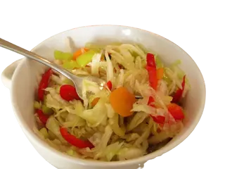 Kiselo povrće salata