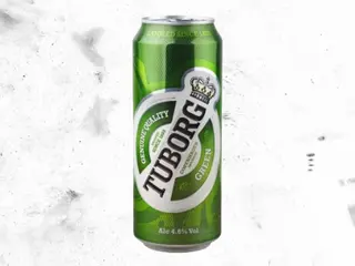 Tuborg pivo 0.5 l