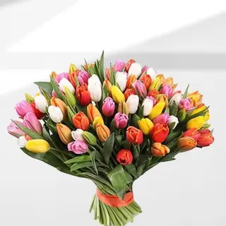 Dimitra tulipani ( big boutique) 