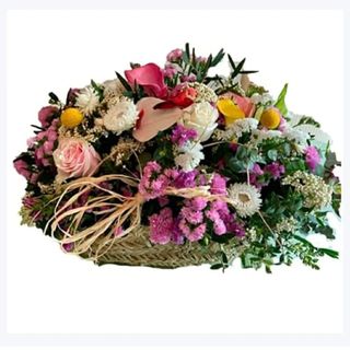 Capazo primaveral VIP