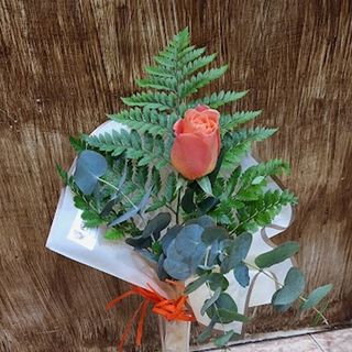 Rosa naranja "Echeverría del Palo"