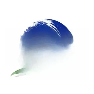 Hawaï Tropical