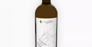 Falanghina Campania Igt - Fattoria Pagano