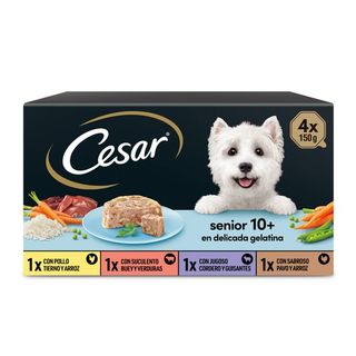 0.6 KG Cesar Carnes Mixtas Tarrina en Gelatina para Perros Senior - Multipack