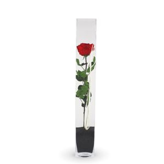 SAN VALENTIN