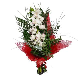 Ramo de Orquídeas Pureza