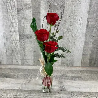 3 Rosas Rojas