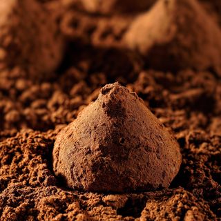 Tartufi al cioccolato