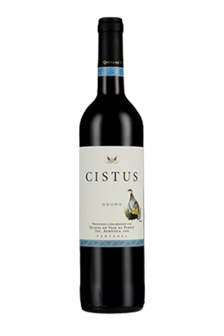 Cistus