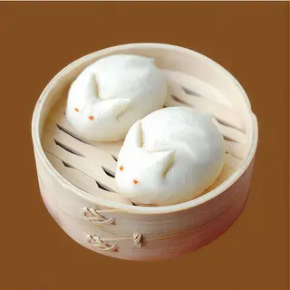223-Yutu bao 3U