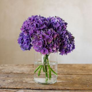 Ramo de 3 hortensias violetas