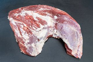 Cimbalino bovino adulto