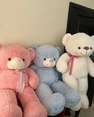 MEDIUM SIZE TEDDIES