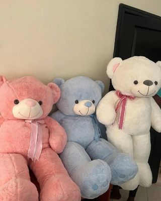 MEDIUM SIZE TEDDIES