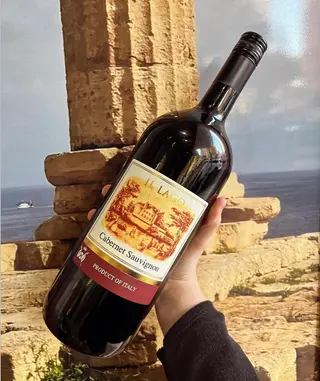 Vino il lago