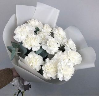 Діантуси 11 шт