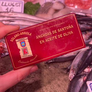 Anchoa Solano Arriola “octavilla”