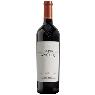 Vino tinto PAGOS DE ANGUIX COSTALARA. Ribera del Duero.