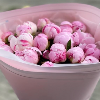 Хіт 2025 Пінк