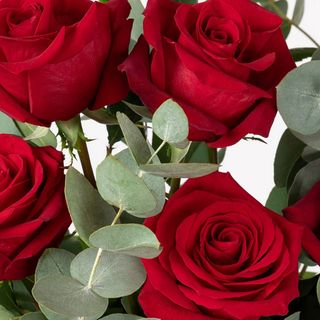 Bouquet 12 Rose Rosse