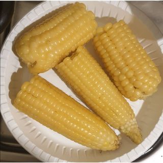 Boiled Maize