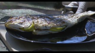 კობრი ქინძმარში