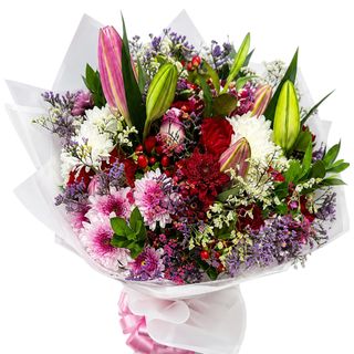 Majestic Bloom Pink Lily
