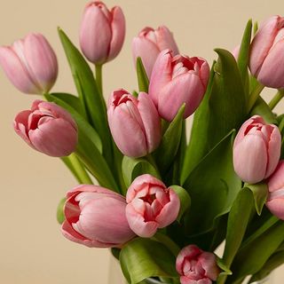 Ramo de 10 tulipanes rosas