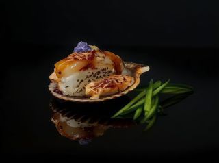 Nigiri Vieira Fusión