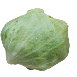 Sałata lodowa 1 sztuka