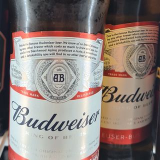 Cerveza Budweiser