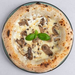 Podrobiony Leśny Talerz