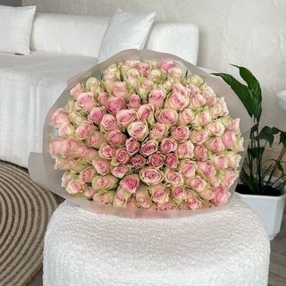 101 троянда "Pink Athena"