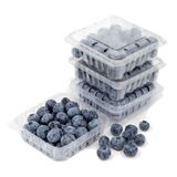 მოცვი 100გრ