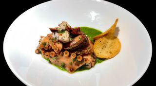 214 Panzanella Di Polpo